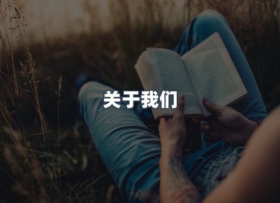 关于我们